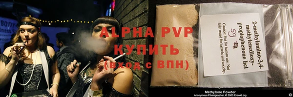 стаф Гусев