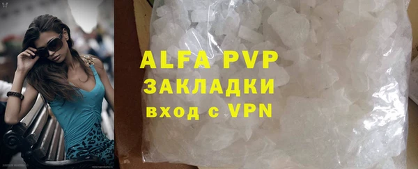 стаф Гусев