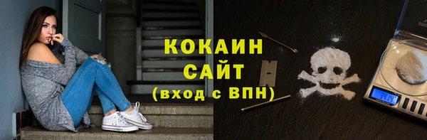 стаф Гусев