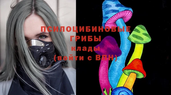 кокс Гусь-Хрустальный