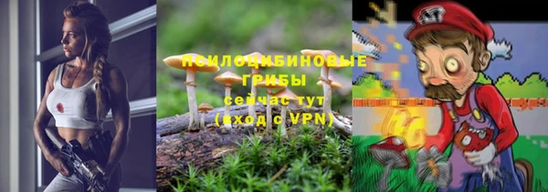 стаф Гусев