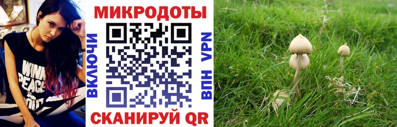 Купить  Карачев  Псилоцибиновые грибы ЛСД 